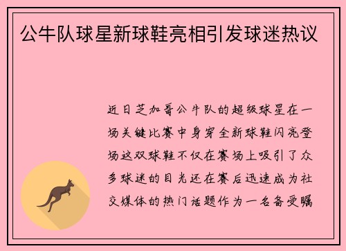 公牛队球星新球鞋亮相引发球迷热议